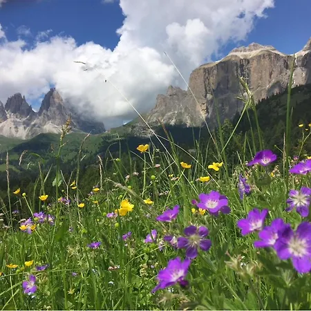 Alaska House - Yukon *