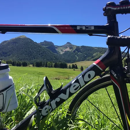 Apartament Alaska House - Yukon *