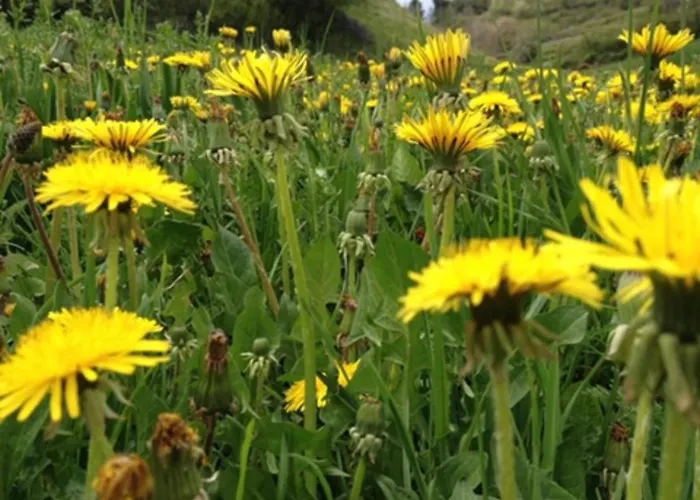 Alaska House - Yukon 公寓