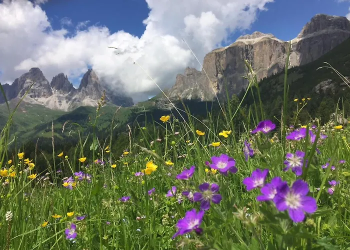 Alaska House - Yukon *