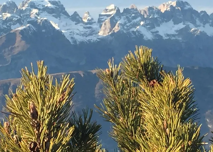 公寓 Alaska House - Yukon